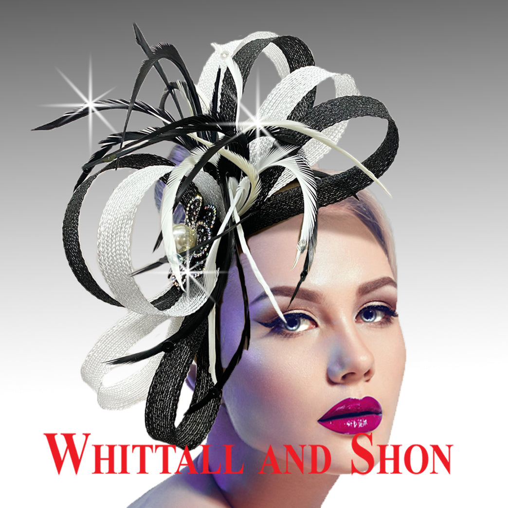 ZEBRA - Black and White fascinator