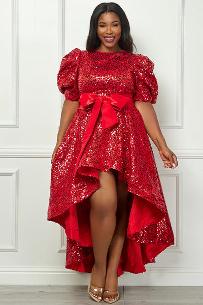 Sequin Puff Half Sleeve Waist Tie Flare Hilo Dress