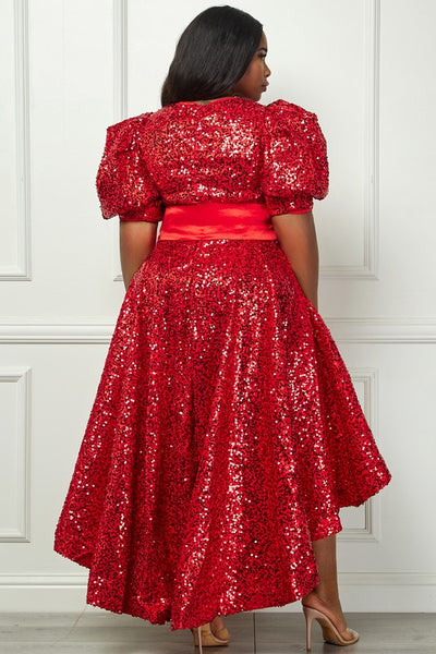 Sequin Puff Half Sleeve Waist Tie Flare Hilo Dress