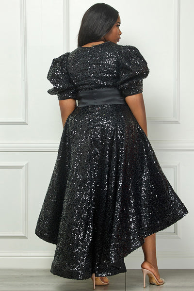 Sequin Puff Half Sleeve Waist Tie Flare Hilo Dress